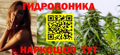 соль ск Лесосибирск