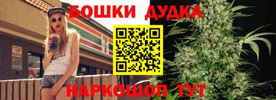 соль ск Лесосибирск