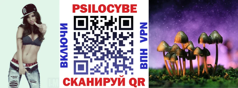 Псилоцибиновые грибы GOLDEN TEACHER  kraken сайт  Домодедово  купить наркотики сайты 