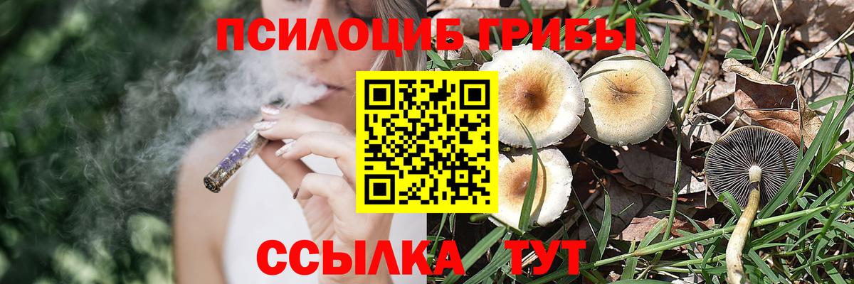 Галлюциногенные грибы ЛСД Домодедово