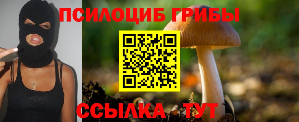 Галлюциногенные грибы Psilocybe  наркота  Вход с VPN  Домодедово  Галлюциногенные грибы MAGIC MUSHROOMS 